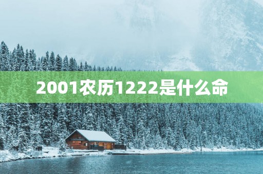 2001农历1222是什么命