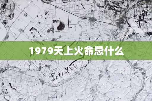 1979天上火命忌什么