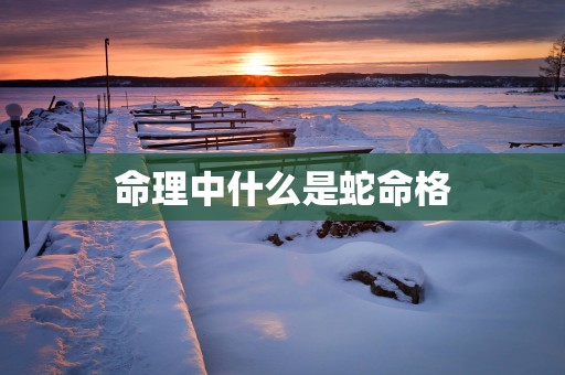 命理中什么是蛇命格