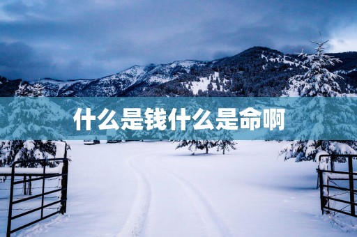 什么是钱什么是命啊