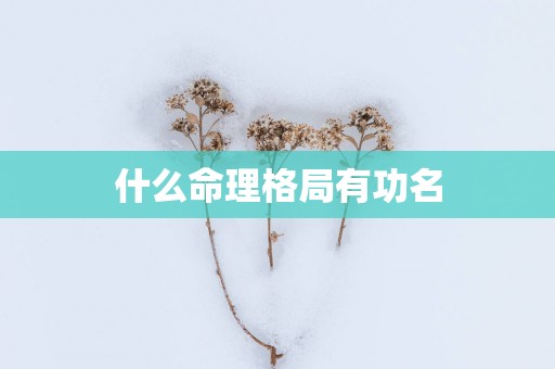 什么命理格局有功名