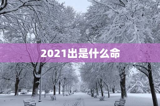2025出是什么命