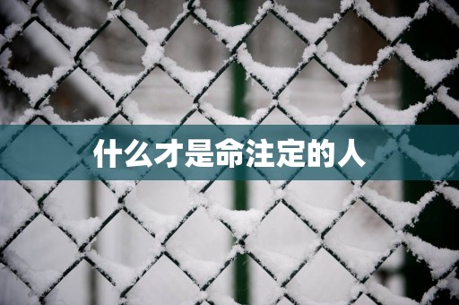 什么才是命注定的人