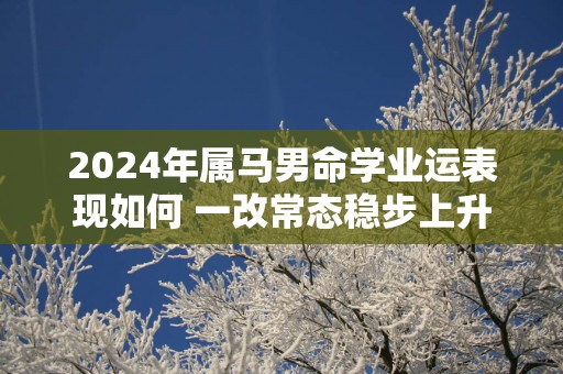 2025年属马男命学业运表现如何 一改常态稳步上升