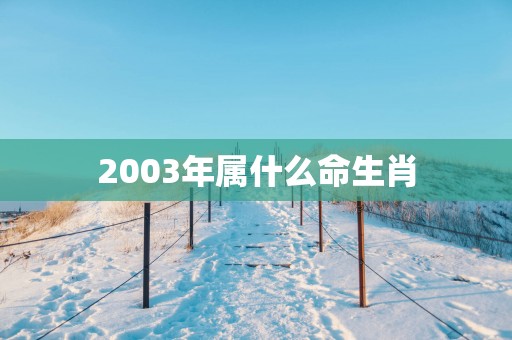 2003年属什么命生肖