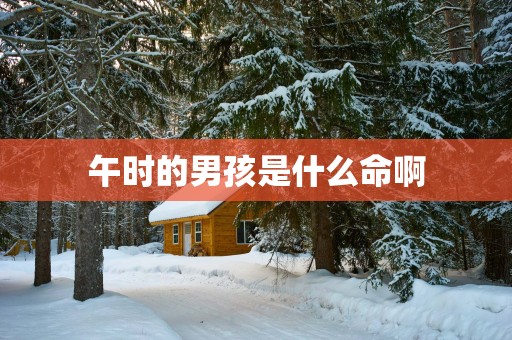 午时的男孩是什么命啊