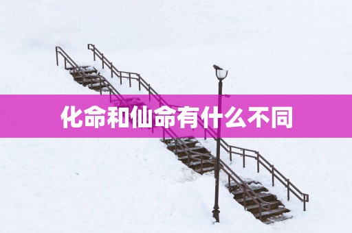 化命和仙命有什么不同