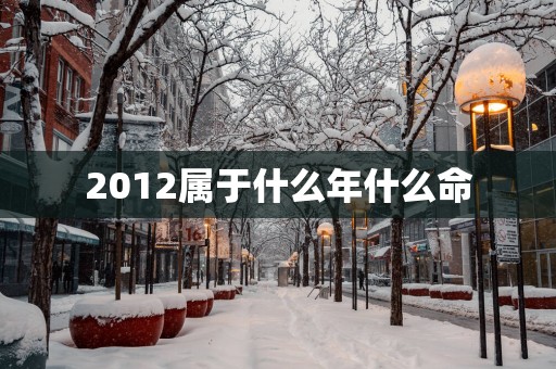 2012属于什么年什么命
