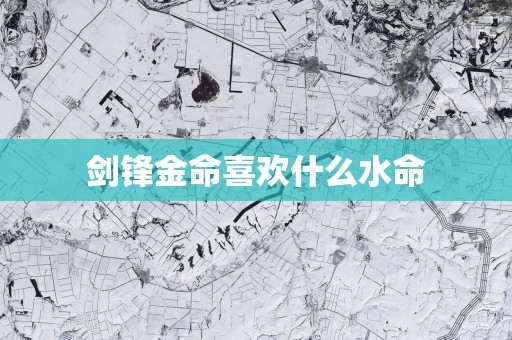 剑锋金命喜欢什么水命