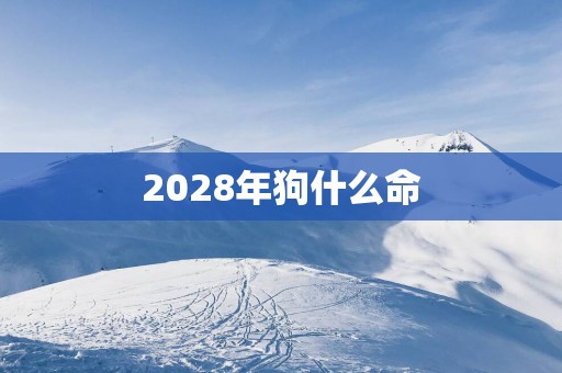 2028年狗什么命