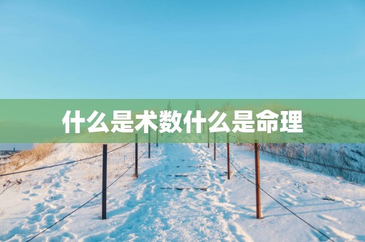 什么是术数什么是命理
