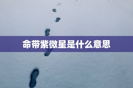 命带紫微星是什么意思