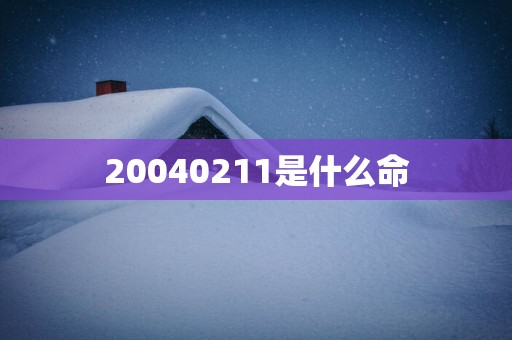 20040211是什么命