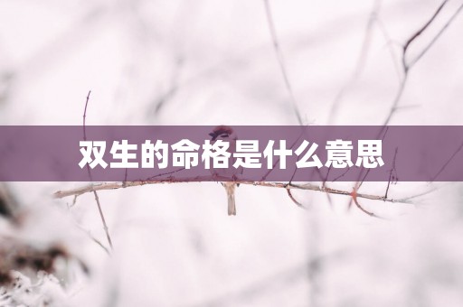 双生的命格是什么意思