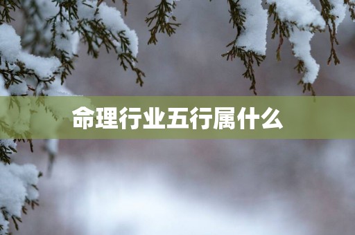命理行业五行属什么