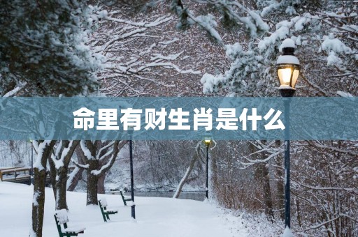 命里有财生肖是什么