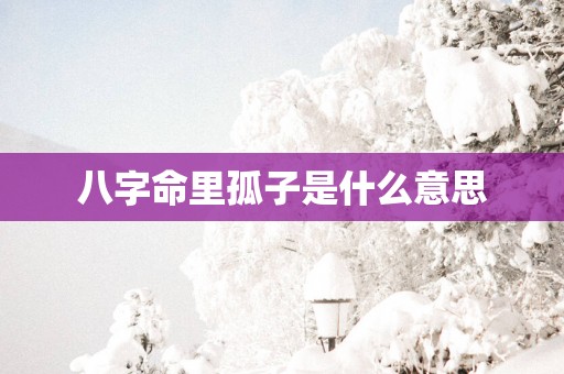 八字命里孤子是什么意思