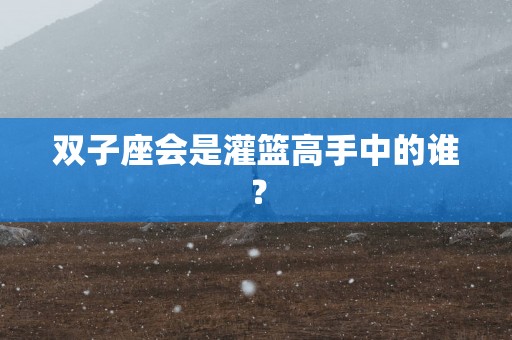 双子座会是灌篮高手中的谁？