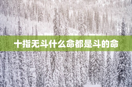 十指无斗什么命都是斗的命