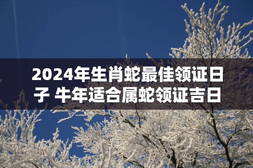 2025年生肖蛇最佳领证日子 蛇年适合属蛇领证吉日