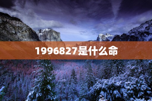 1996827是什么命