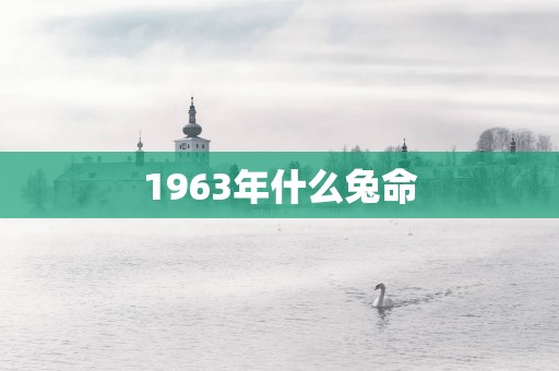 1963年什么兔命