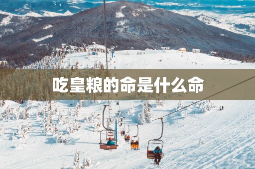 吃皇粮的命是什么命