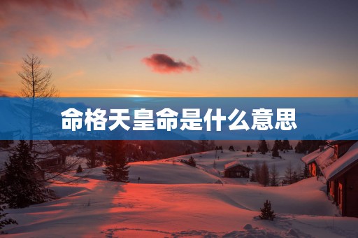 命格天皇命是什么意思