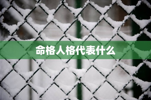 命格人格代表什么