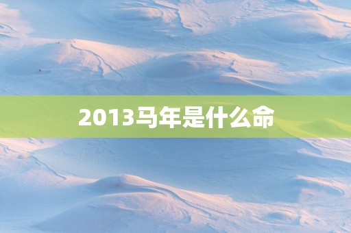 2013马年是什么命