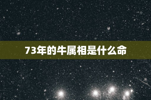 73年的牛属相是什么命
