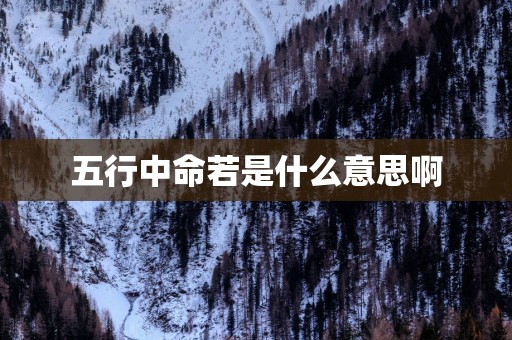 五行中命若是什么意思啊