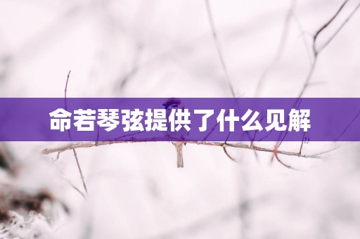 命若琴弦提供了什么见解