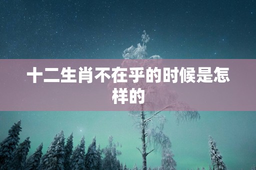 十二生肖不在乎的时候是怎样的