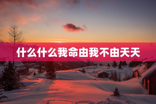 什么什么我命由我不由天天