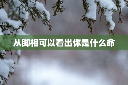 从脚相可以看出你是什么命