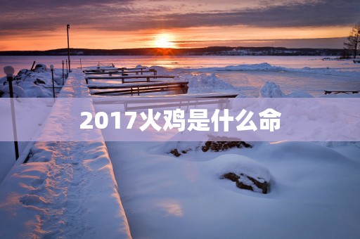 2017火鸡是什么命