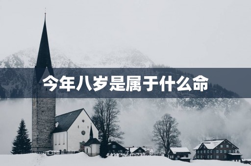 今年八岁是属于什么命