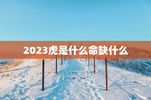 2025虎是什么命缺什么