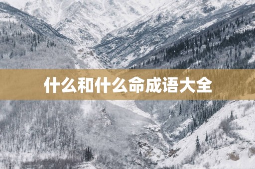 什么和什么命成语大全