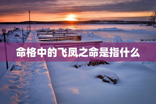 命格中的飞凤之命是指什么