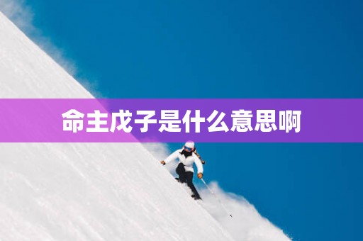 命主戊子是什么意思啊