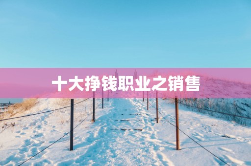 十大挣钱职业之销售