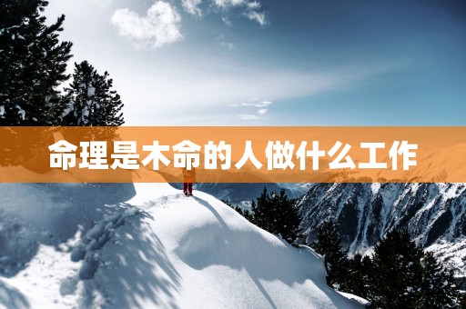 命理是木命的人做什么工作