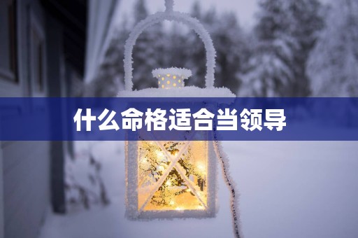 什么命格适合当领导