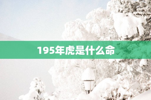 195年虎是什么命