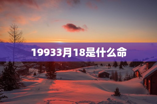 19933月18是什么命