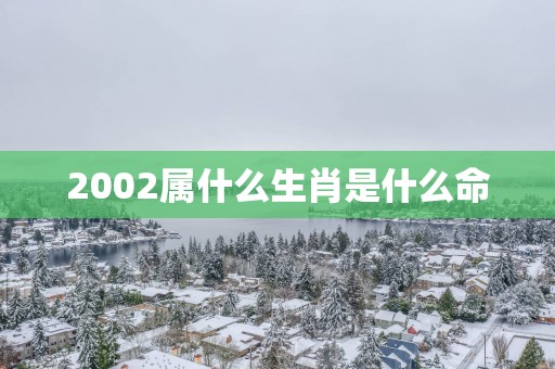2002属什么生肖是什么命