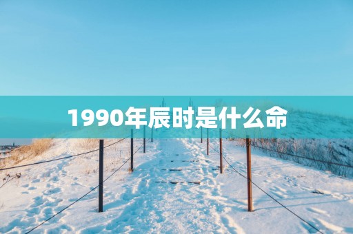 1990年辰时是什么命