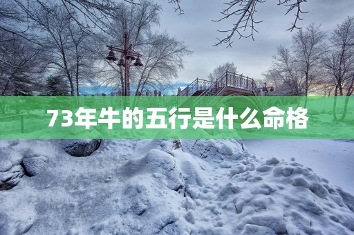 73年牛的五行是什么命格